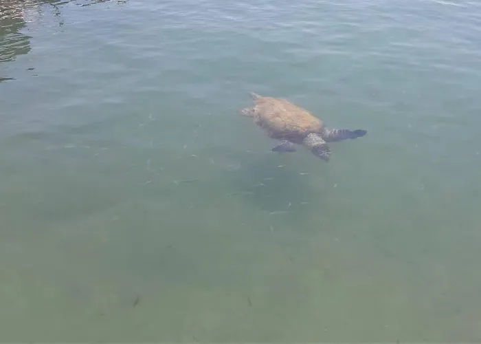 Apartment Sophie's Traditional Hospitality Monemvasia