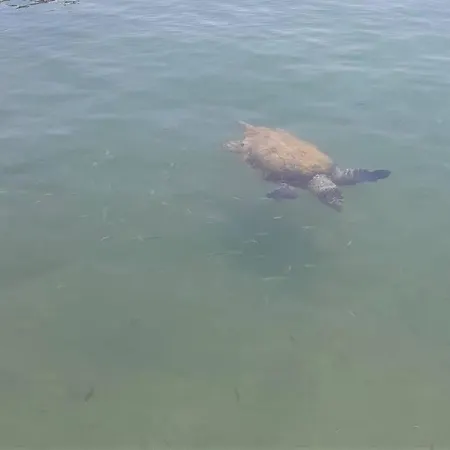 Lägenhet Sophie's Traditional Hospitality Monemvasía